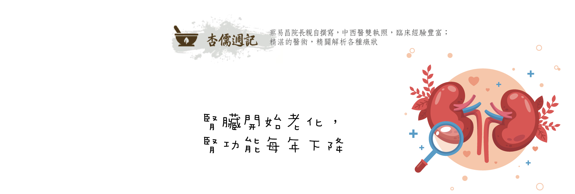 腎臟開始老化，腎功能每年下降