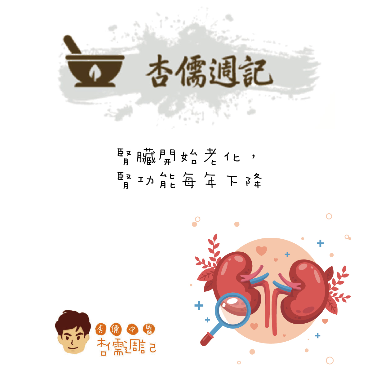 腎臟開始老化，腎功能每年下降